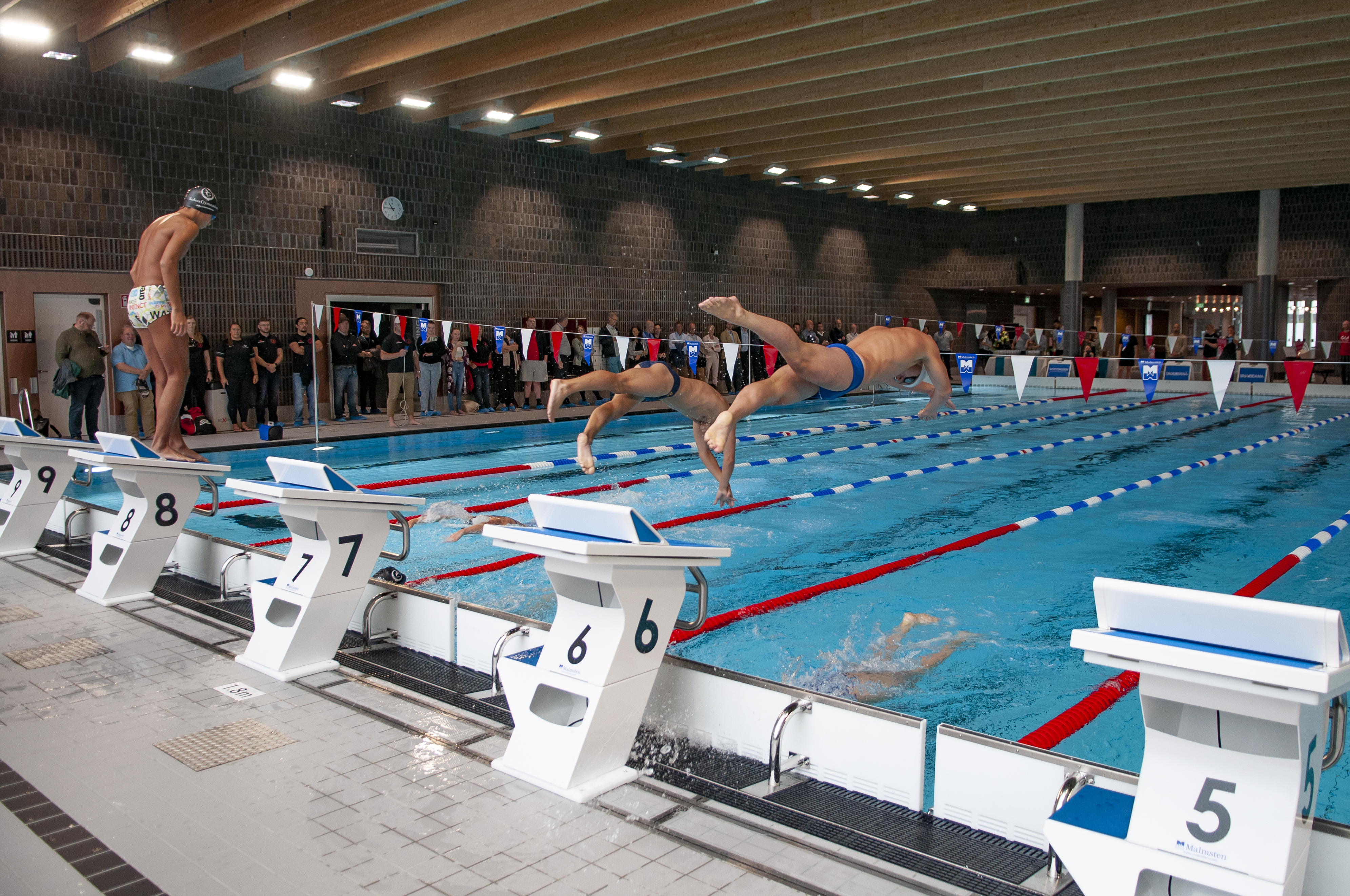 Simmare hoppar i simbassäng i nya Solna simhall